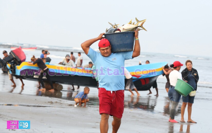 pesca