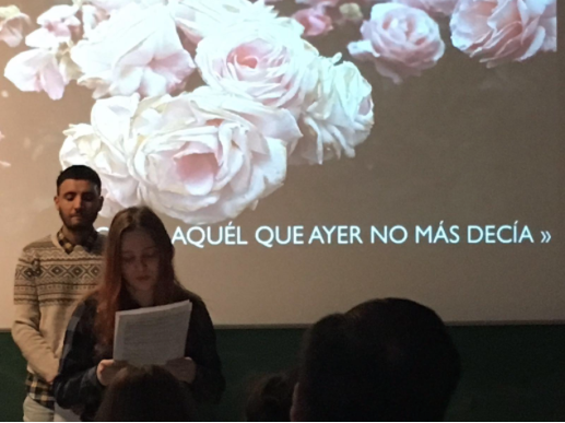 Universidad