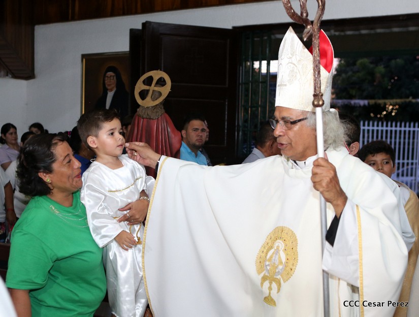 cardenal