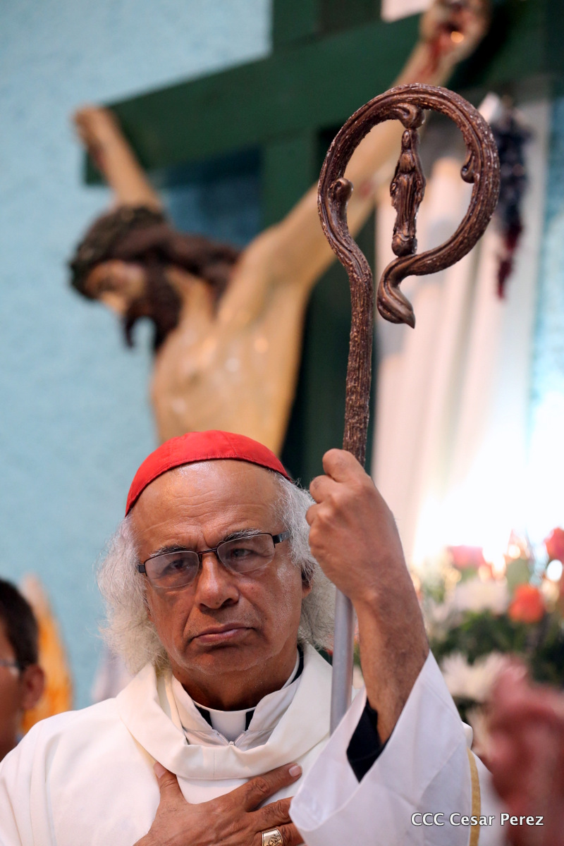 cardenal
