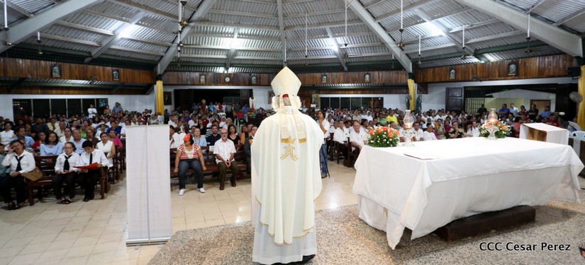 cardenal