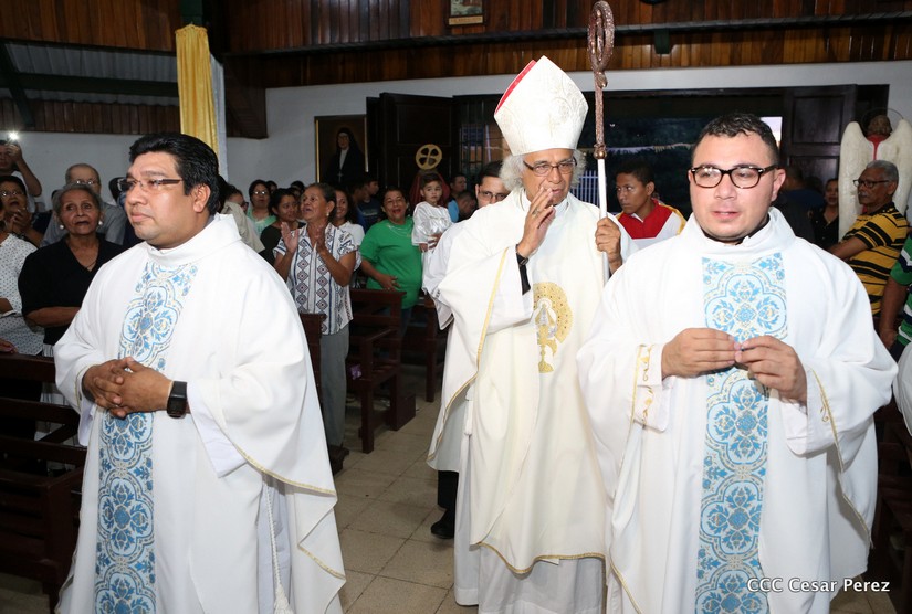 cardenal