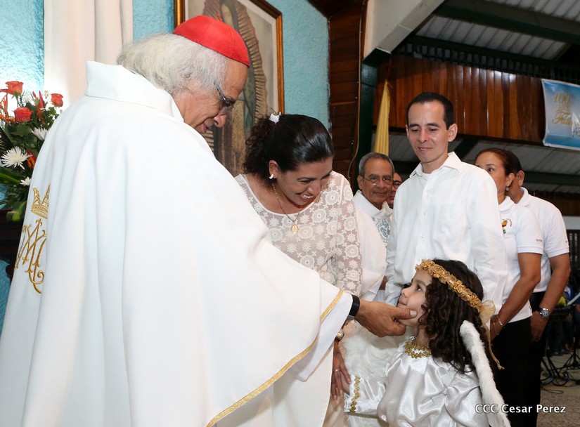 cardenal