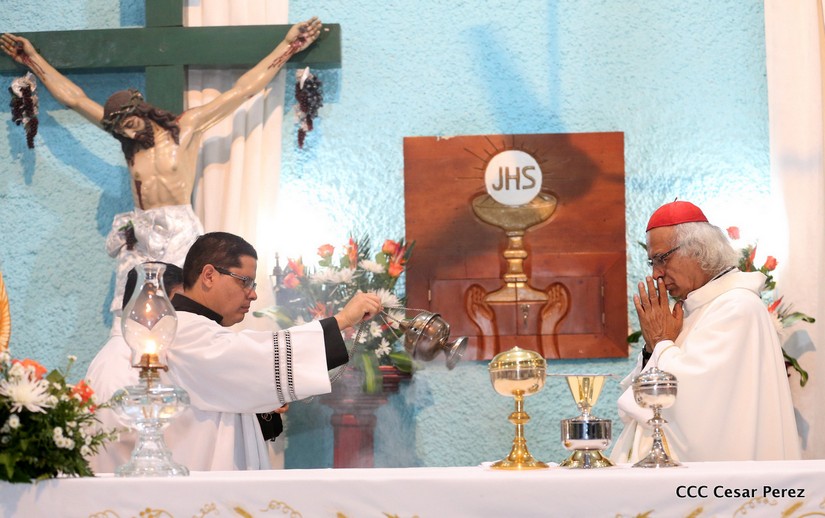 cardenal