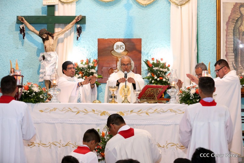 cardenal