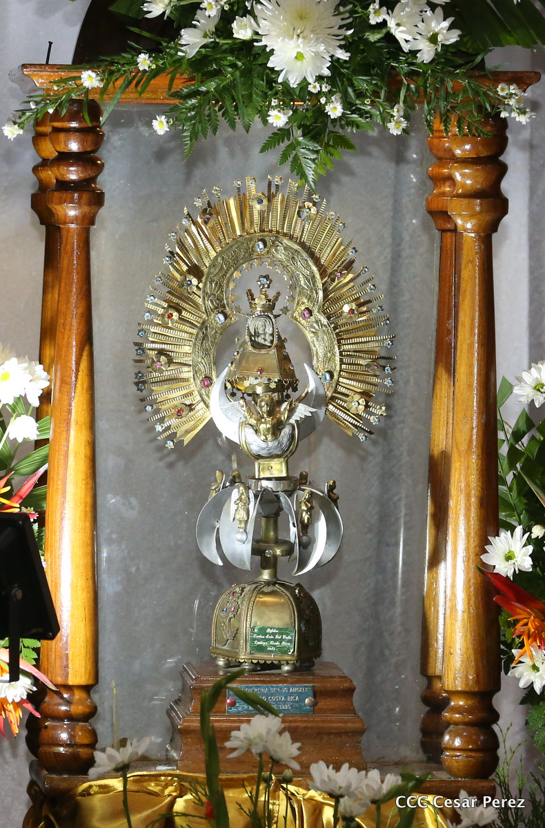 cardenal