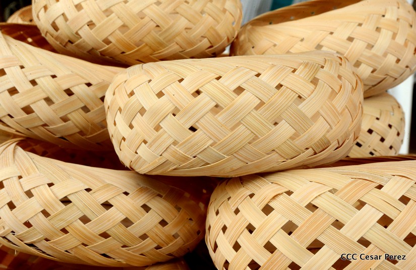 bambu