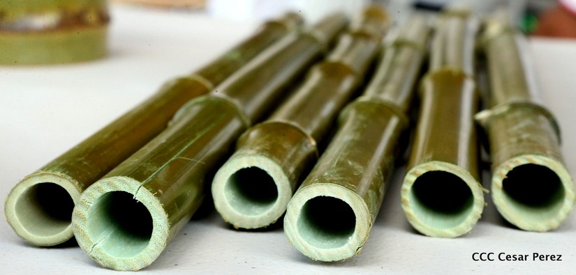 bambu