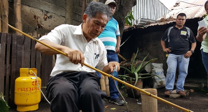 bambu