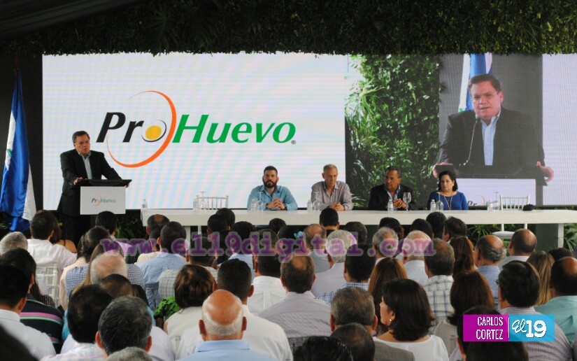 huevos