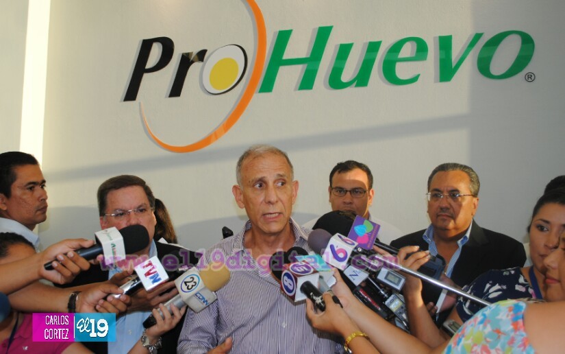 huevos