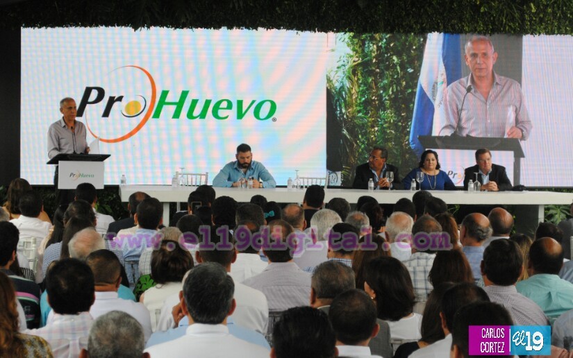 huevos