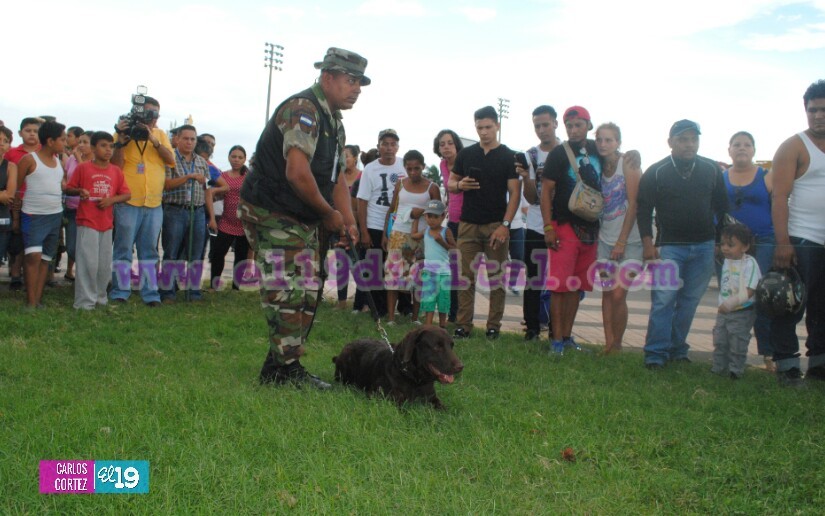 ejercito
