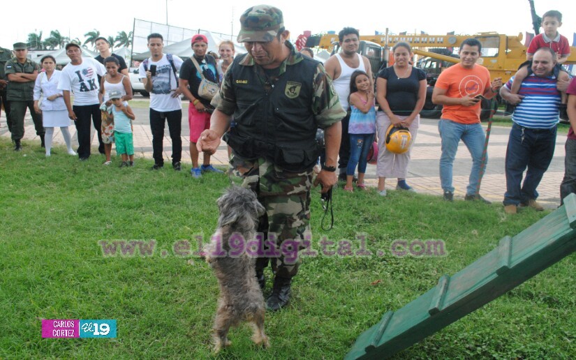 ejercito