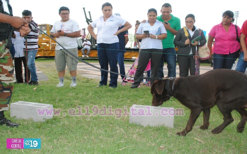 ejercito