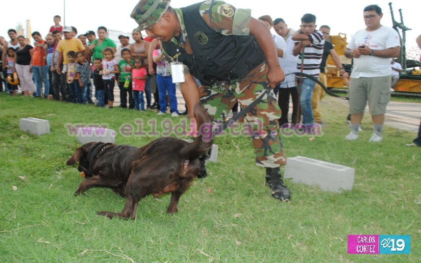 ejercito