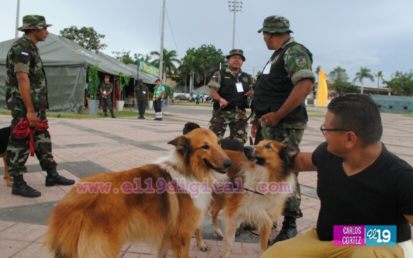 ejercito