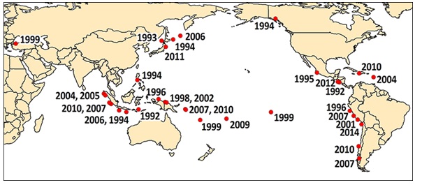 tsunami