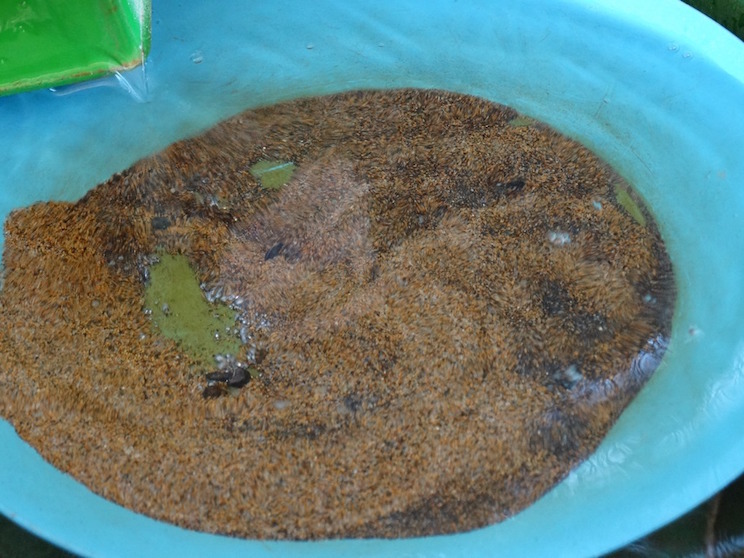 Maquina Verde