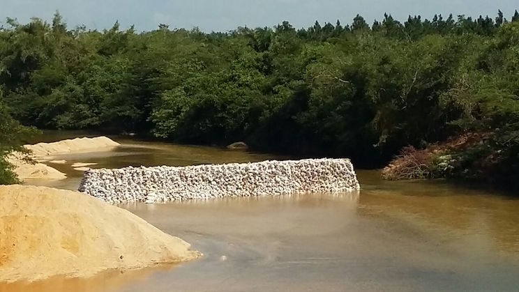 Agua y Saneamiento