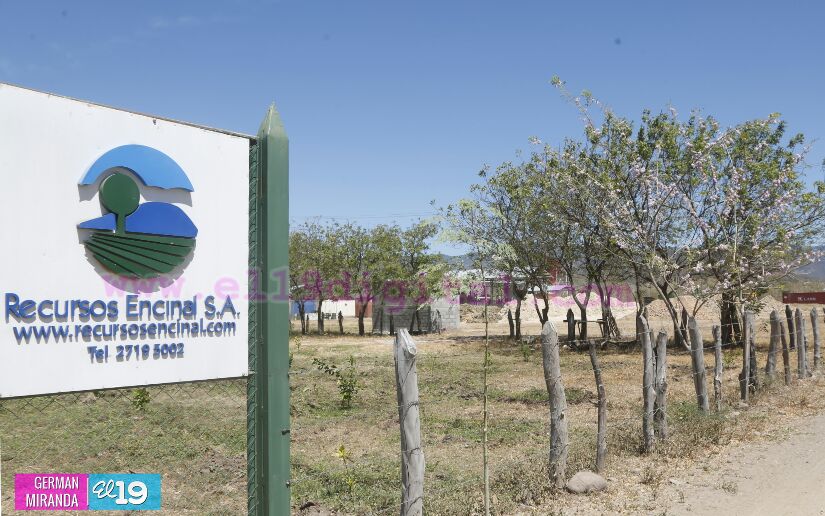 M&aacute;quina Verde