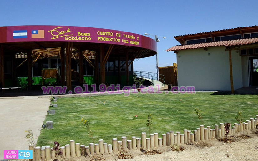 Centro de Bambú
