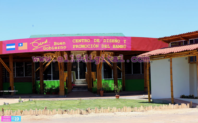 Centro de Bambú
