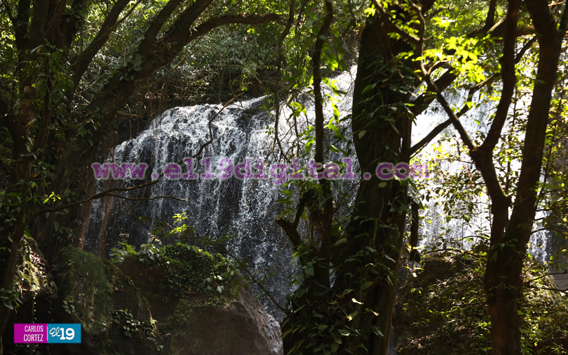 Cascada_Corozo