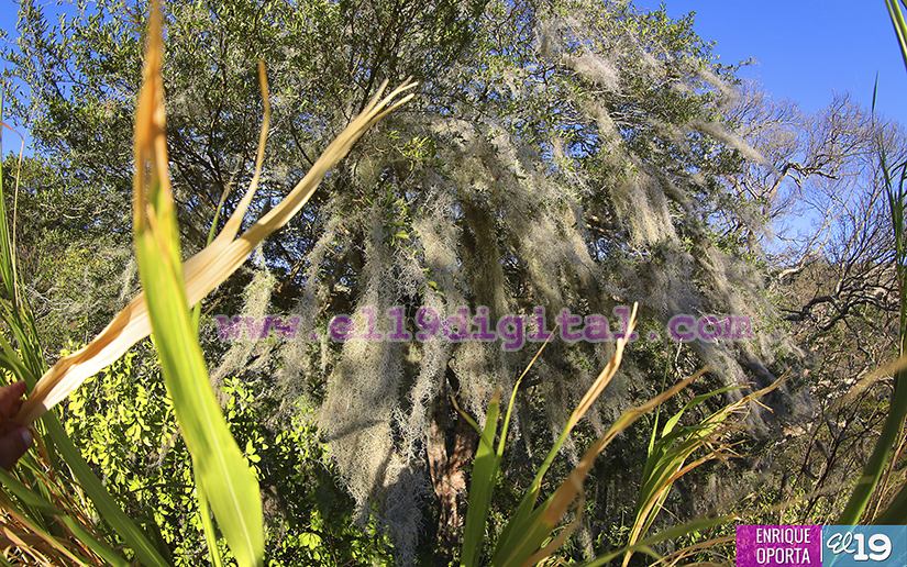 Finca Ecol&oacute;gica