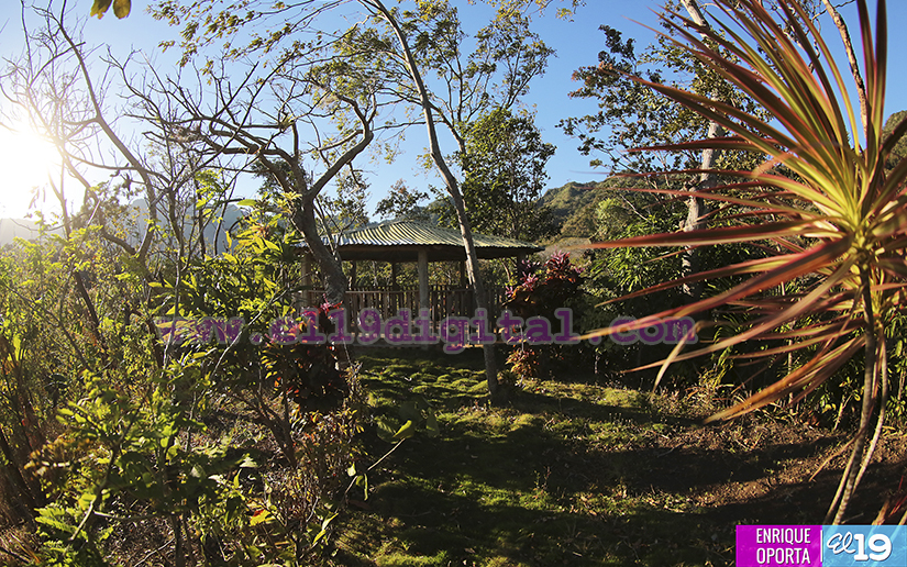 Finca Ecol&oacute;gica