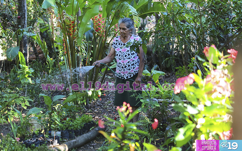 Finca Ecol&oacute;gica