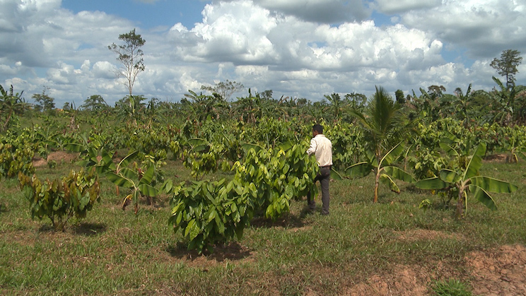 Finca Rosita