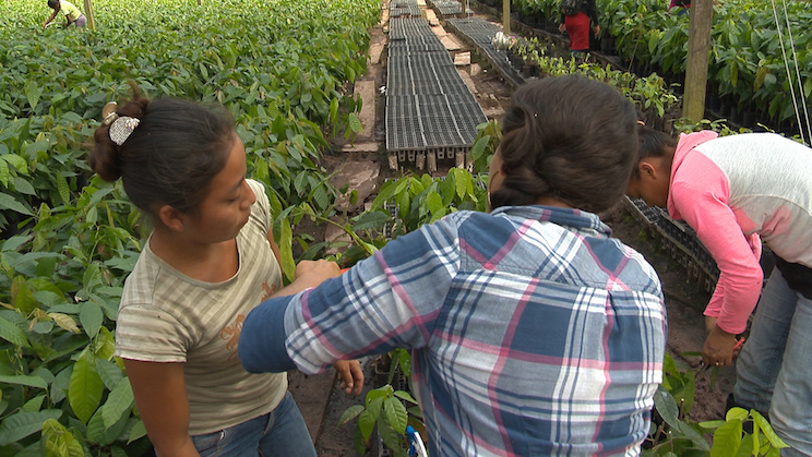 Finca Rosita