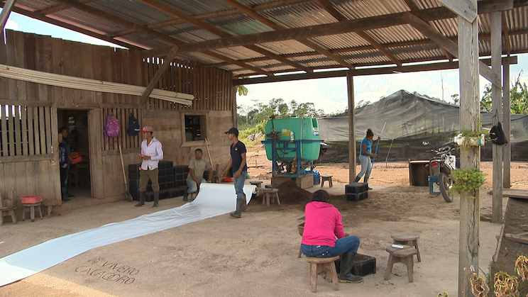 Finca Rosita