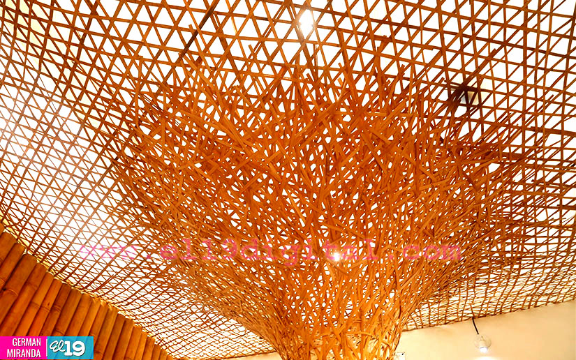 bambu