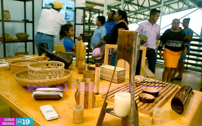 bambu
