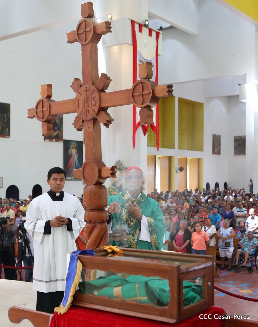cardenal
