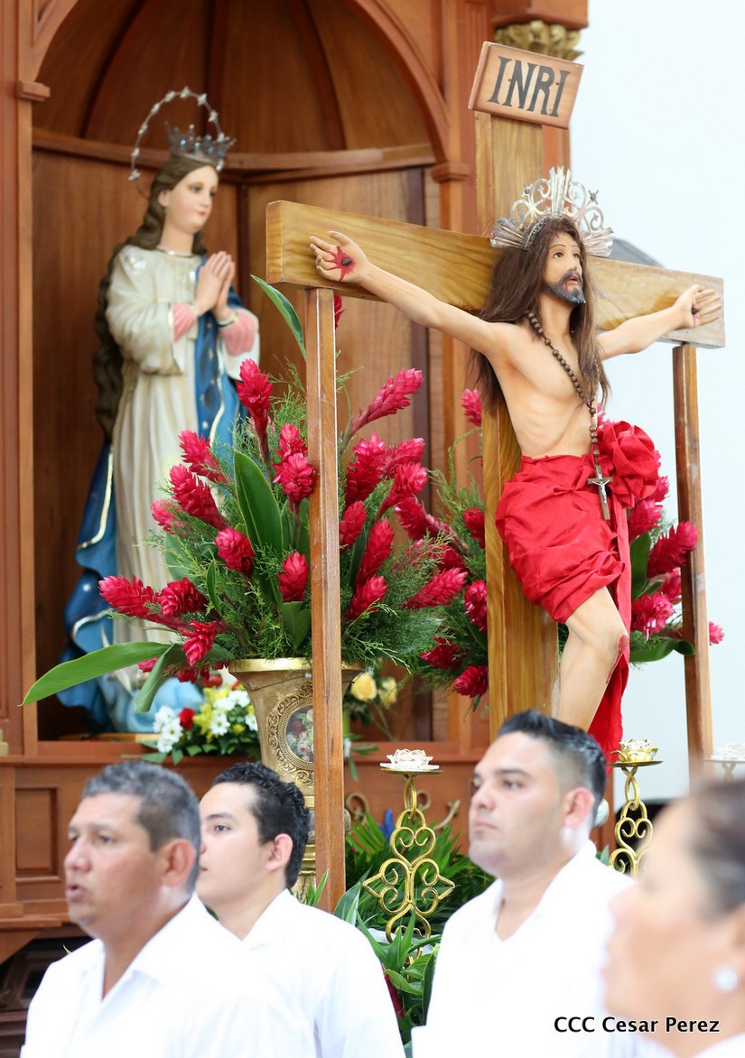cardenal