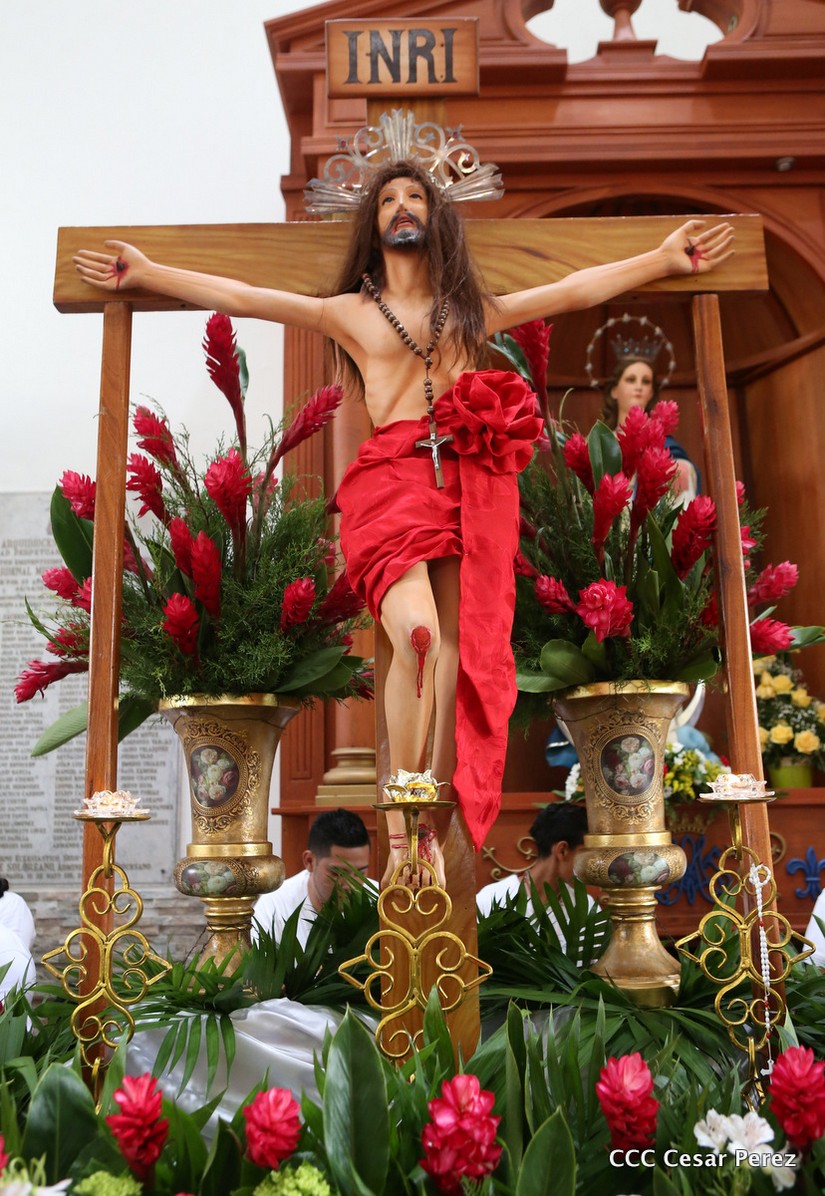 cardenal