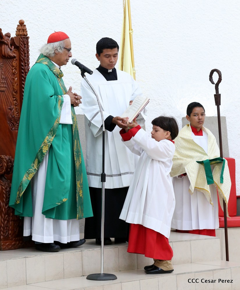cardenal