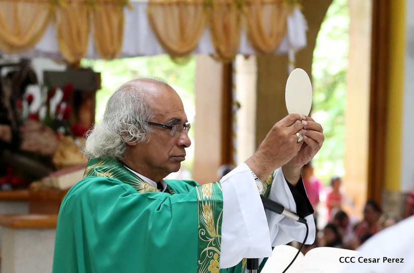 cardenal