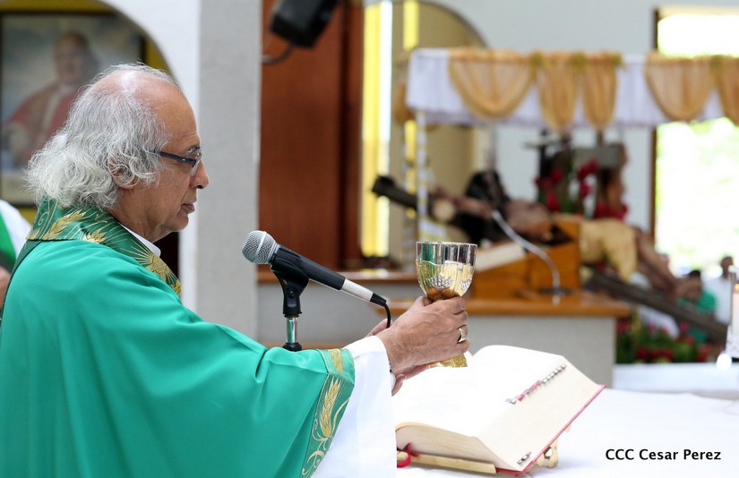 cardenal