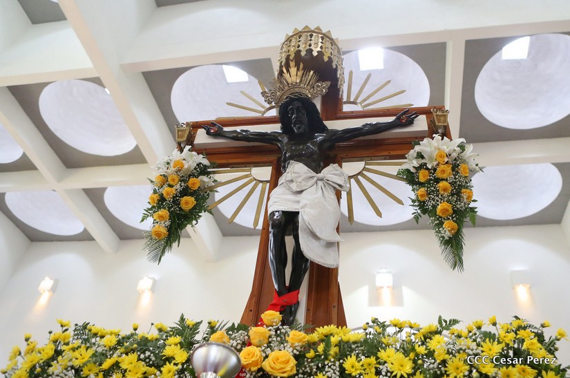 cardenal
