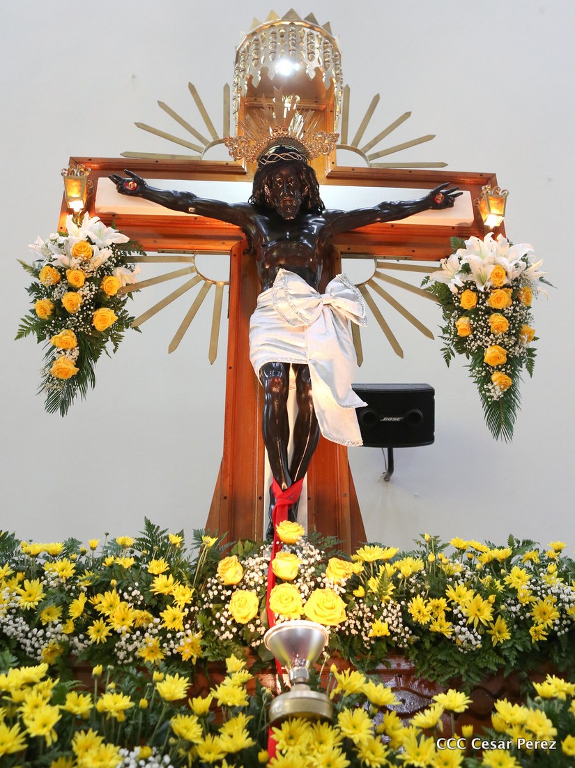 cardenal