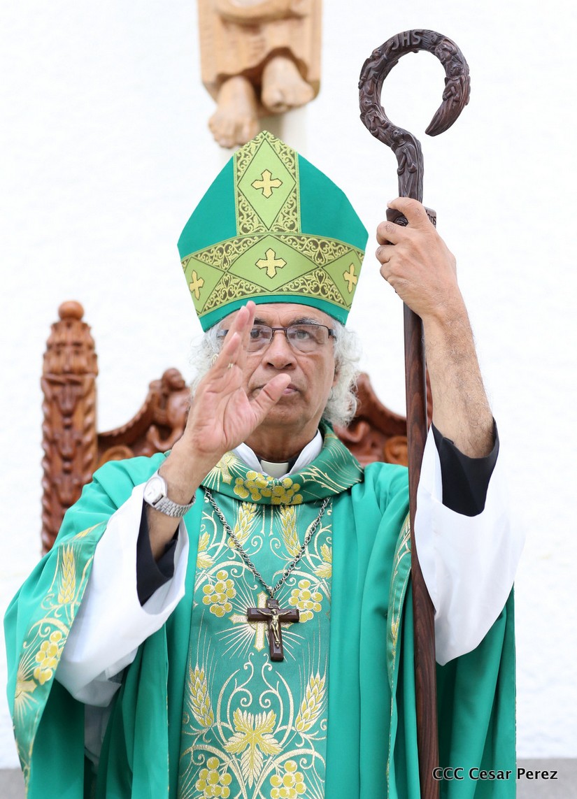 cardenal
