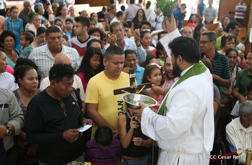 cardenal