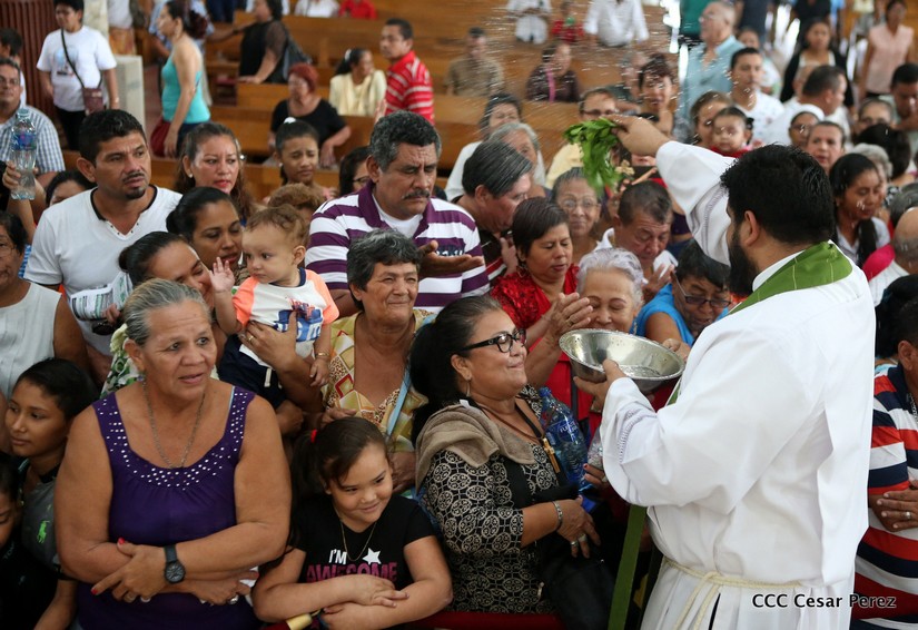 cardenal