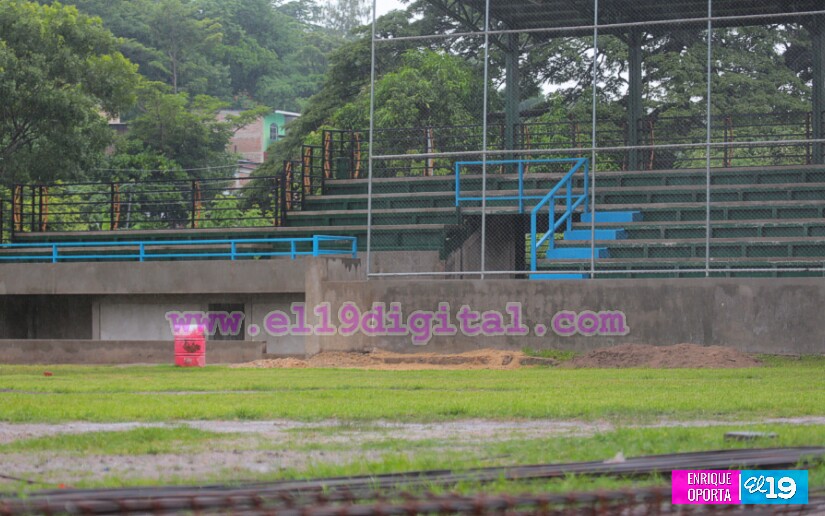 estadio