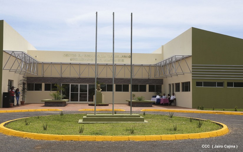 marango