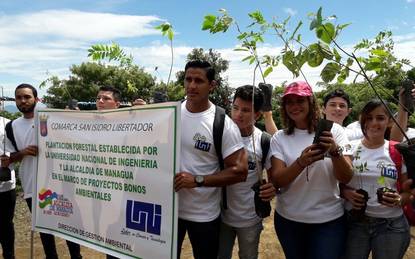 reforestacion